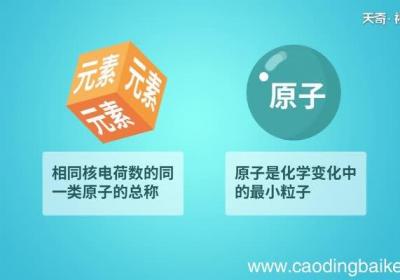 元素与原子的区别 元素与原子的不同