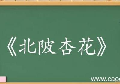 北陂杏花古诗翻译赏析 北陂杏花古诗的翻译赏析