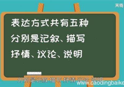 表达方式有哪些 有哪些表达方式