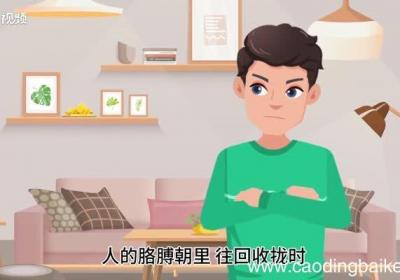 胳膊的意思 胳膊什么意思