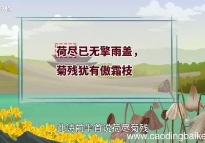 苏轼为什么写赠刘景文 为什么苏轼要给刘景文赠诗