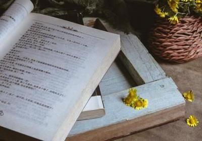 天窗的主要内容 天窗这篇课文主要讲了什么