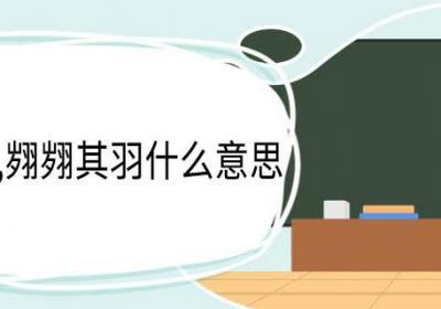 凤凰于飞,翙翙其羽什么意思 凤凰于飞翙翙其羽翻译