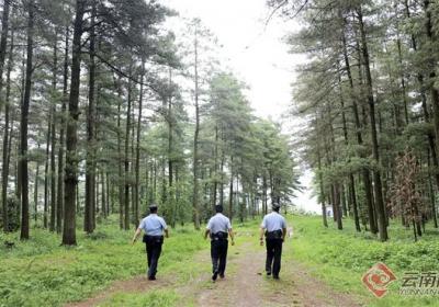 打造“生态警务”！昆明宜良公安让山水“生”繁花