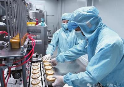 元江“产学研用”全链条推进冰淇淋小镇建设