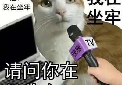为什么互联网的幽默越来越灰色？