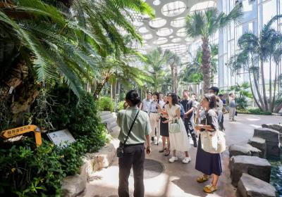 上海加速绿色技术转化，发布42项技术与9项示范工程