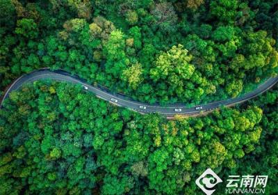 全国生态日 | 湄公河旅游书写“两山”路上的华美乐章
