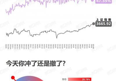 <title>谨慎调仓？如何优化投资组合<title>