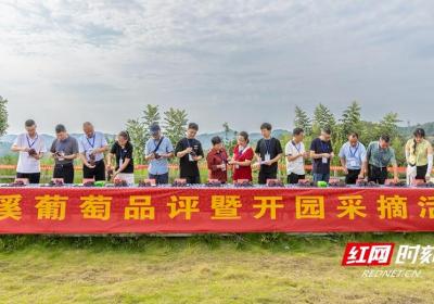 省州专家“集体打call”助力泸溪产业发展