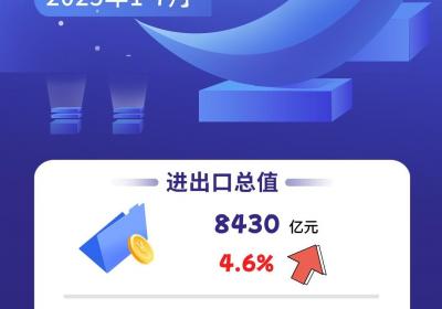一图读懂｜8430亿元！宁波前7个月外贸数据出炉