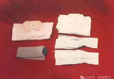 “他是我的骄傲。” || 战火中的红孩子——毛岸英
