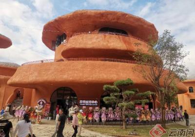 云南南华县：“包山养菌”科学采摘促农增收