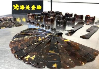 禁止进境！深圳湾海关查获濒危玳瑁制品26件