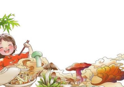 享野菌美味 护舌尖安全