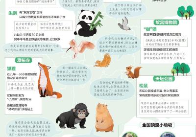 明星动物暑期卖萌地图