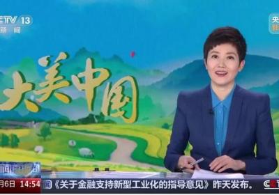 【甘快看】大美中国 甘肃庆阳 马鞭草与菊花相映成趣 溪谷烂漫引人醉