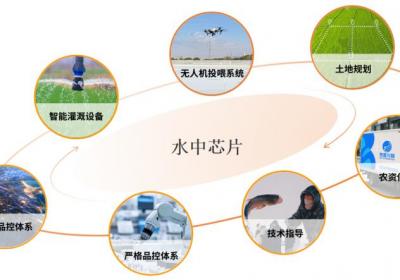 渔业靶向净化技术：牧笛川梭水中芯片精控澳洲宝石斑智能养殖