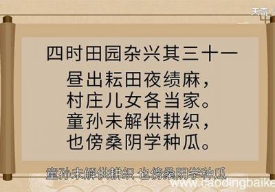 四时田园杂兴其三十一译文 翻译四时田园杂兴其三十一
