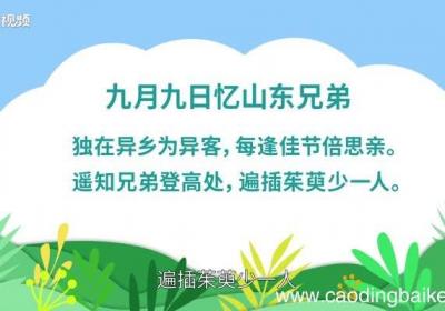 九月九日忆山东兄弟原文 九月九日忆山东兄弟原文朗读