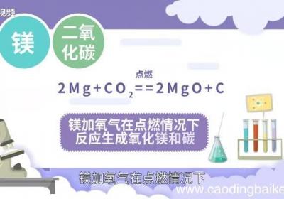 镁与二氧化碳反应 镁在二氧化碳中燃烧现象