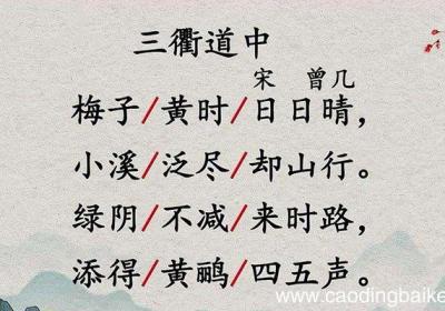 三衢道中描写的是什么季节 三衢道中描写的是啥季节