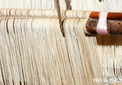 十七世纪的工艺百科全书是什么 被称为17世纪百科全书的是