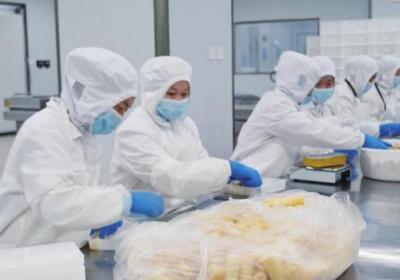 石屏县拓展豆制品全产业链 激活传统产业创新引擎