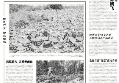 乡村避暑经济热起来