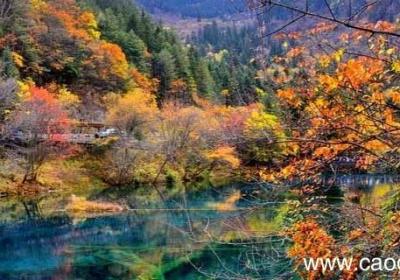 秋浦途中前两句运用了什么修辞手法 秋浦途中前两句运用了什么手法