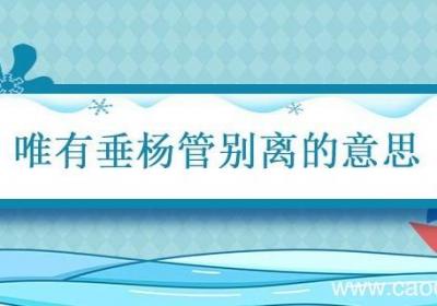 唯有垂杨管别离的意思 长安陌上无穷树唯有垂杨管别离的意思