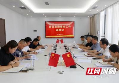 新田：黄永英主持召开青云集团重点工作调度会