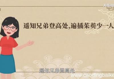 遥知兄弟登高处,遍插茱萸少一人的意思遥知兄弟登高处,遍插茱萸少一人的意思