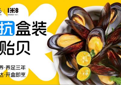 百日休养，鲜甜归来！一米八鲜活贻贝8月3日盒马全国上市