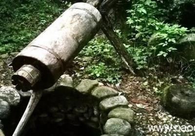 乌龟与水井告诉我们什么道理 乌龟和水井告诉我们什么道理
