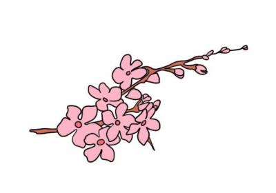 樱花简笔画的教程樱花简笔画的画法