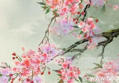 荼靡是什么意思 荼蘼的含义