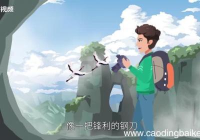 溪水和石头告诉我们什么道理 溪水和石头的故事告诉我们什么道理