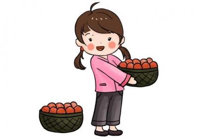 摘柿子简笔画 摘柿子简笔画怎么画