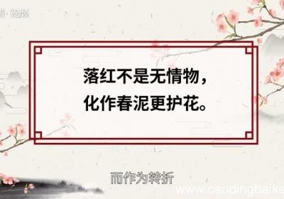 落红不是无情物化作春泥更护花赏析 落红不是无情物化作春泥更护花翻译