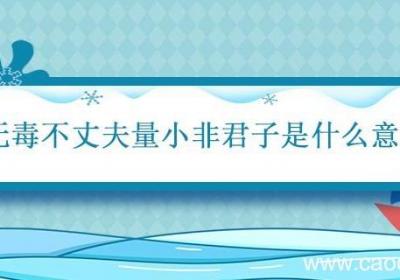 无毒不丈夫量小非君子是什么意思 无毒不丈夫量小非君子的意思