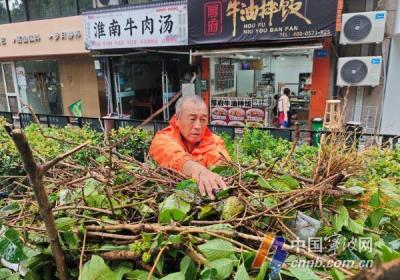 台风影响稍弱 他们就“铺”满了全城
