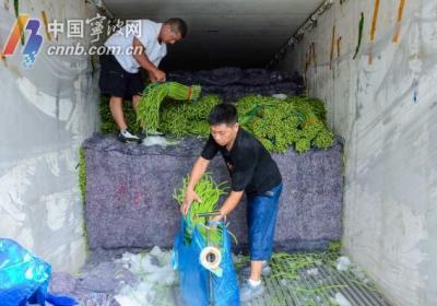 放心！宁波“菜篮子”量足价稳