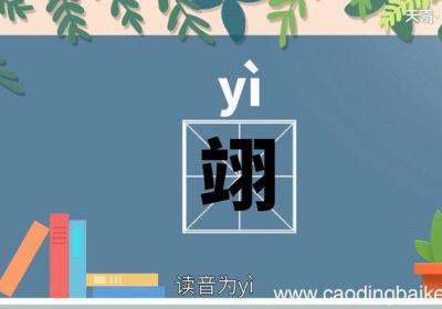 翊怎么读 翊的读音