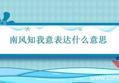 南风知我意表达什么意思 南风知我意,吹梦到西洲是什么意思