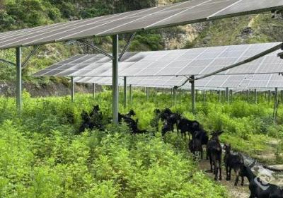 云南凤庆：家门口实现“务工学技”双丰收