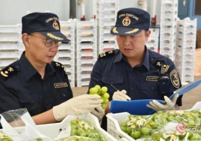今年上半年云南农产品出口80.3亿元 位居中西部地区第一