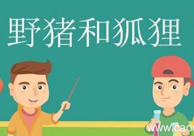 野猪和狐狸告诉我们了什么道理 野猪和狐狸告诉我们的道理