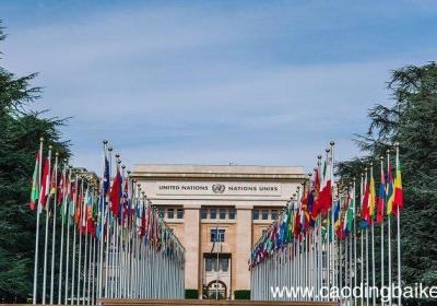 联合国设在哪个国家 联合国创立在哪个国家