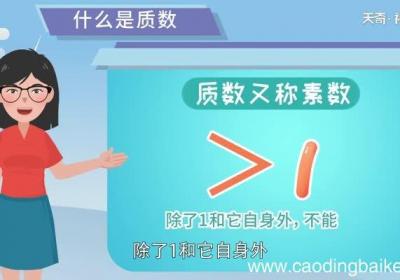 什么是素数和质数 质数与素数的区别